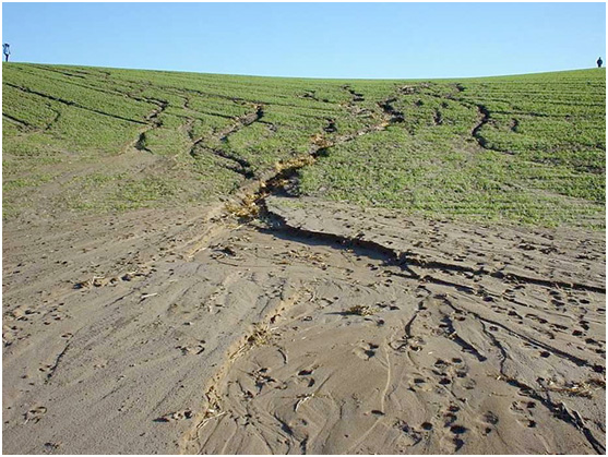 example of soil erosion